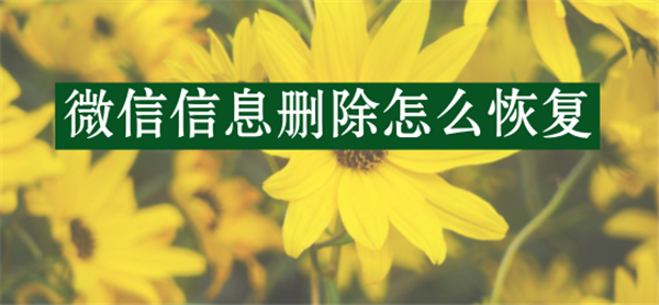 苹果手机微信信息删除怎么恢复?已删除微信聊
