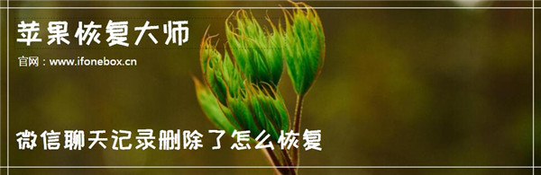 苹果恢复大师