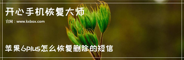 苹果6plus怎么恢复删除的短信