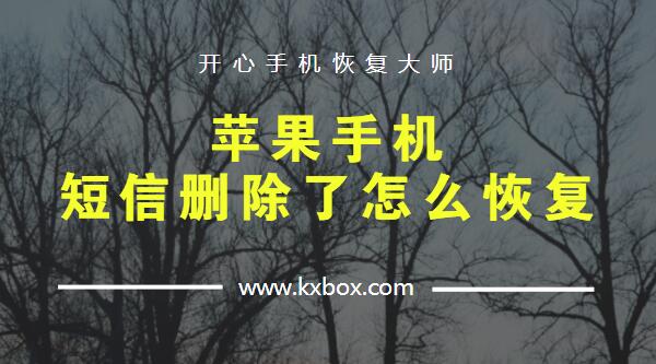 苹果手机短信删除了怎么恢复？苹果6怎么找回删除的短信