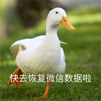 微信数据.png