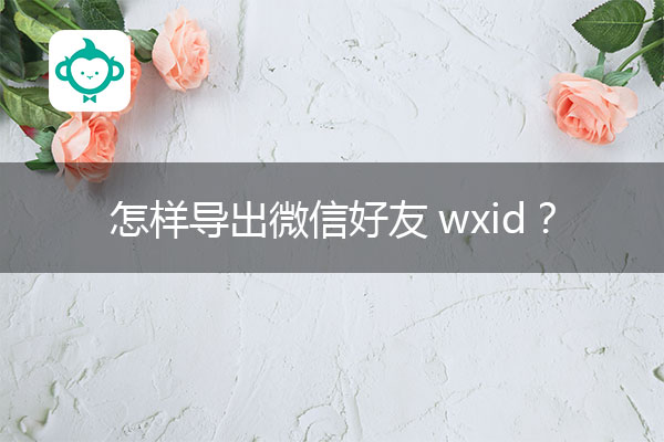 怎样导出微信好友wxid？微信导出助手.jpg