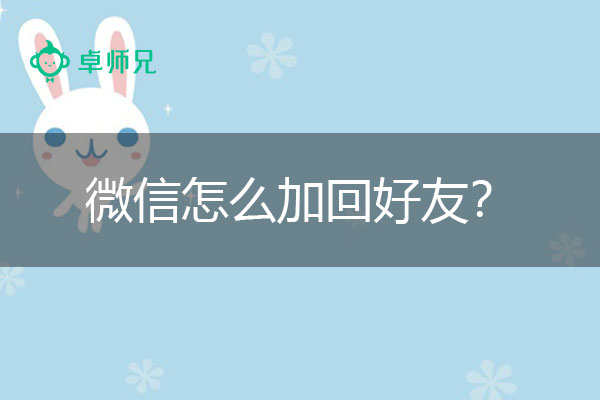 微信怎么加回好友？掌握这招，轻松恢复.jpg