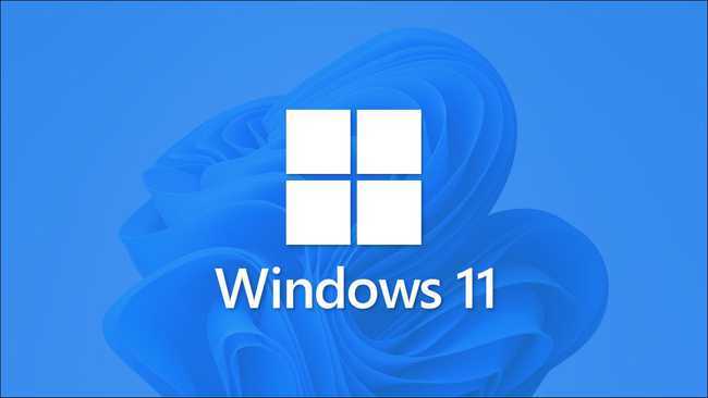 windows 11.jpg