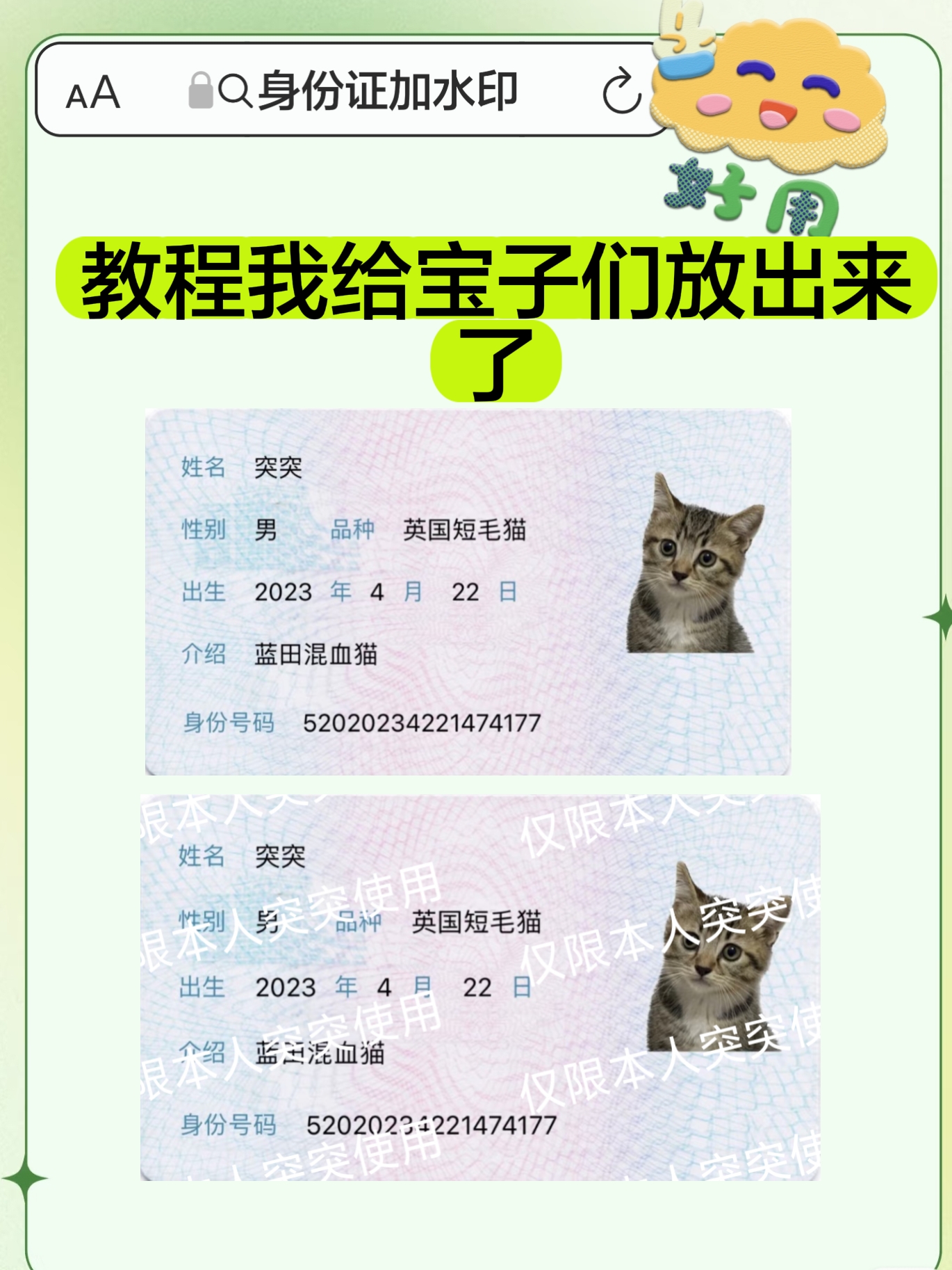 5fcbabeb-1216-4df9-950a-7326eab09512.jpg